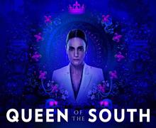 Download English subtitles for Queen of the South